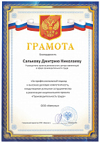 Грамота от ООО "Импульс" руководителю проектов - тренеру Салькову Д.Н.