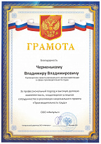 Грамота от ООО "Импульс" руководителю проектов - тренеру Черненькому В.В. 